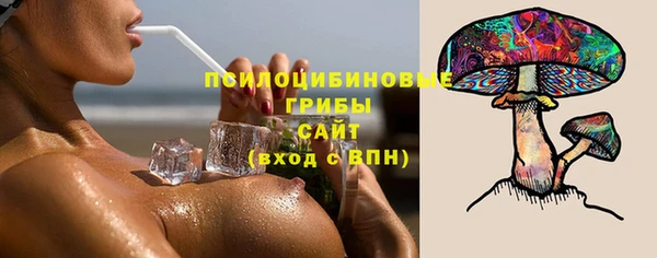 ECSTASY Майский