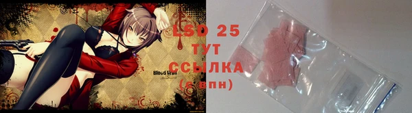 ECSTASY Майский