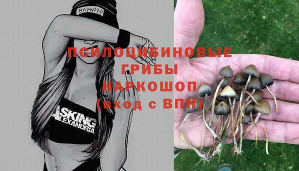 герыч Магас